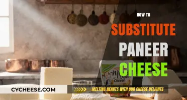 Creative Paneer Cheese Substitutes for Delicious Vegetarian Dishes at Home