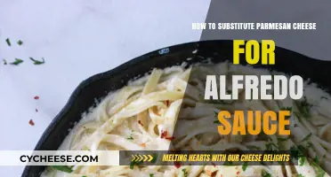 The Ultimate Parmesan Cheese Alfredo Sauce Substitute