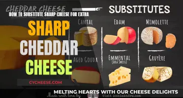 Cheese Swap: Extra Sharp Cheddar Alternatives and How-To Guide