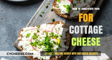 Tofu as Cottage Cheese Substitute: Tips for Vegan Cooking Success