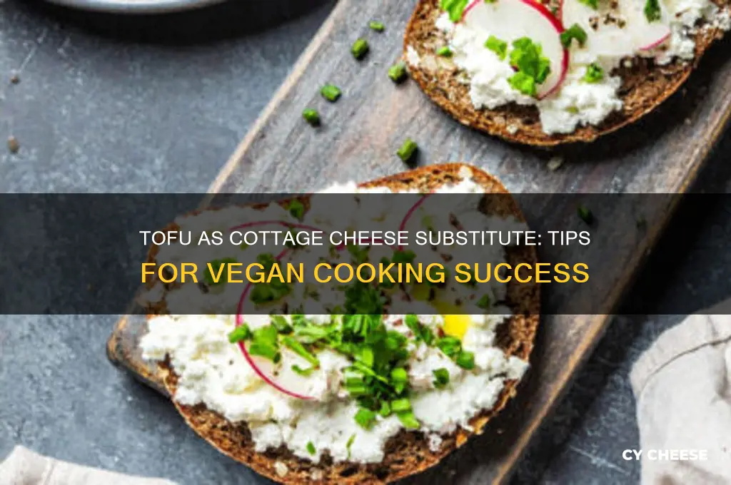 how to substitute tofu for cottage cheese