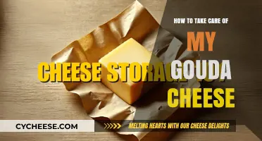 Mastering Gouda Care: Tips for Perfect Storage and Freshness