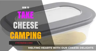 Pack Smart: Tips for Taking Cheese Camping Without Spoilage