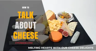 Mastering the Art of Cheese Conversations: Tips for Enthusiasts
