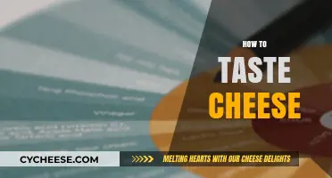 Mastering the Art of Cheese Tasting: A Guide to Flavor Exploration