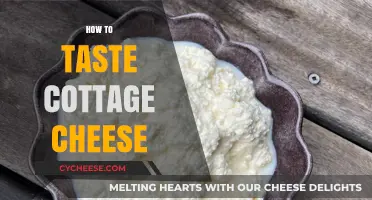 Mastering Cottage Cheese: Tips for Tasting Texture and Flavor