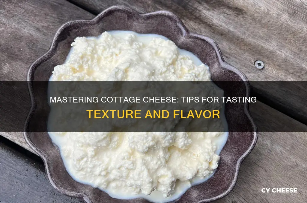 how to taste cottage cheese