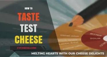 Mastering the Art of Cheese Tasting: Tips for Perfect Palate Exploration