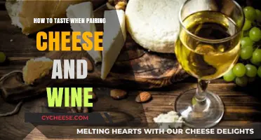 Mastering the Art of Cheese and Wine Pairing: A Tasting Guide