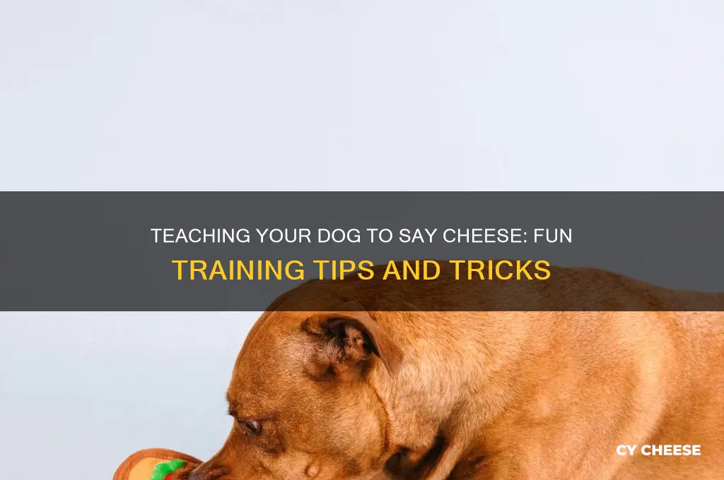 how to teach your dog to say cheese