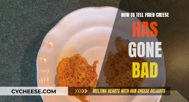 Fried Cheese: When to Toss It Out