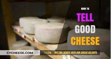 The Art of Recognizing Quality Cheese
