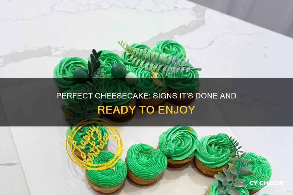 how to tell if a cheese cake is done