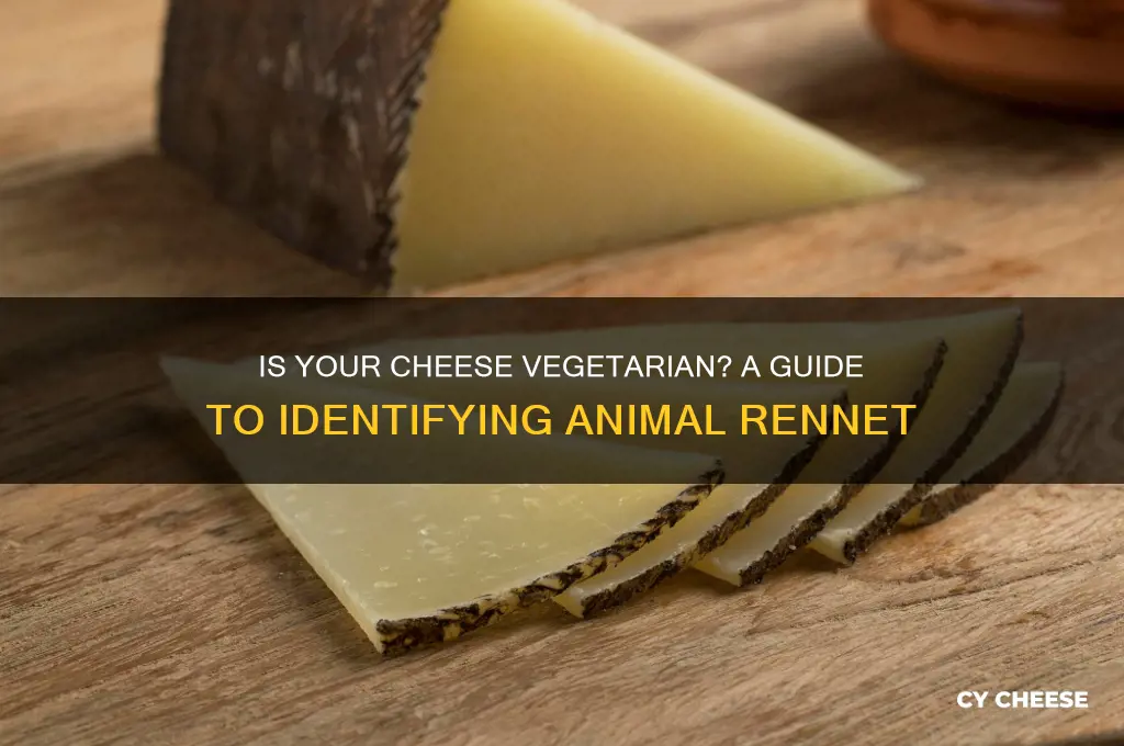 how to tell if a cheese is vegetarian