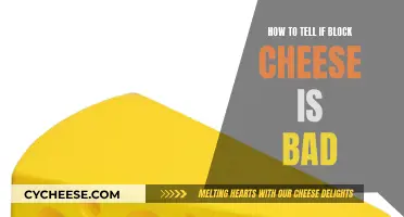 Spotting Bad Block Cheese: What to Look For