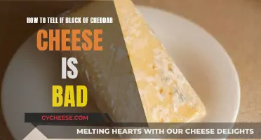 Cheese Gone Bad: Cheddar's Tell-Tale Signs