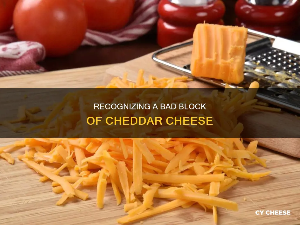 how to tell if block of cheddar cheese is bad