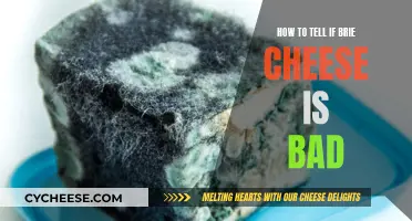 Spotting Bad Brie Cheese: What to Look For