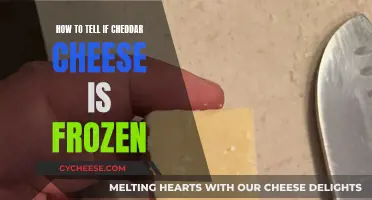 Cheese Frozen? 5 Signs to Tell if Cheddar is Frozen