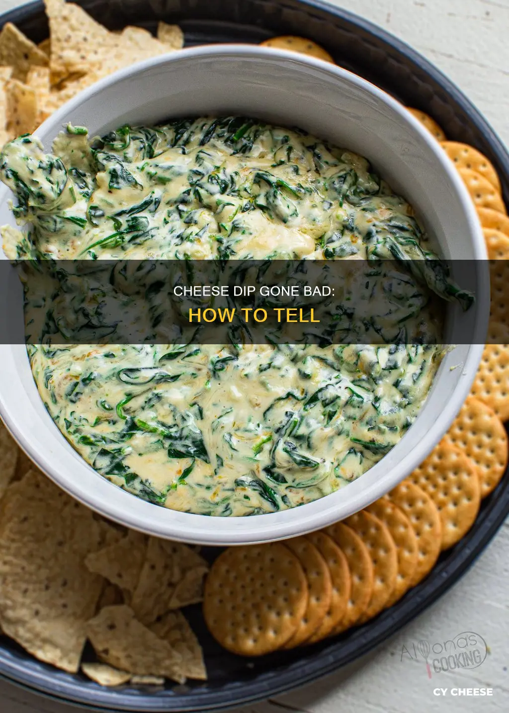 how to tell if cheese dip is bad