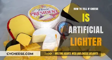 Spotting Artificial Cheese: Quick Tips to Identify Lighter Imitations