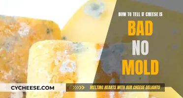 Cheese Gone Bad: How to Tell Without Mold