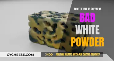 Cheese White Powder: When to Toss It