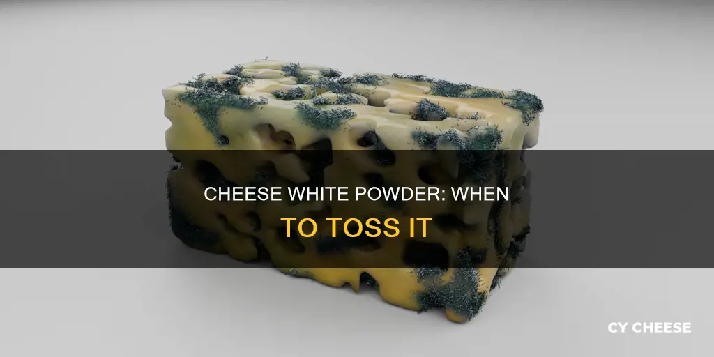 how to tell if cheese is bad white powder