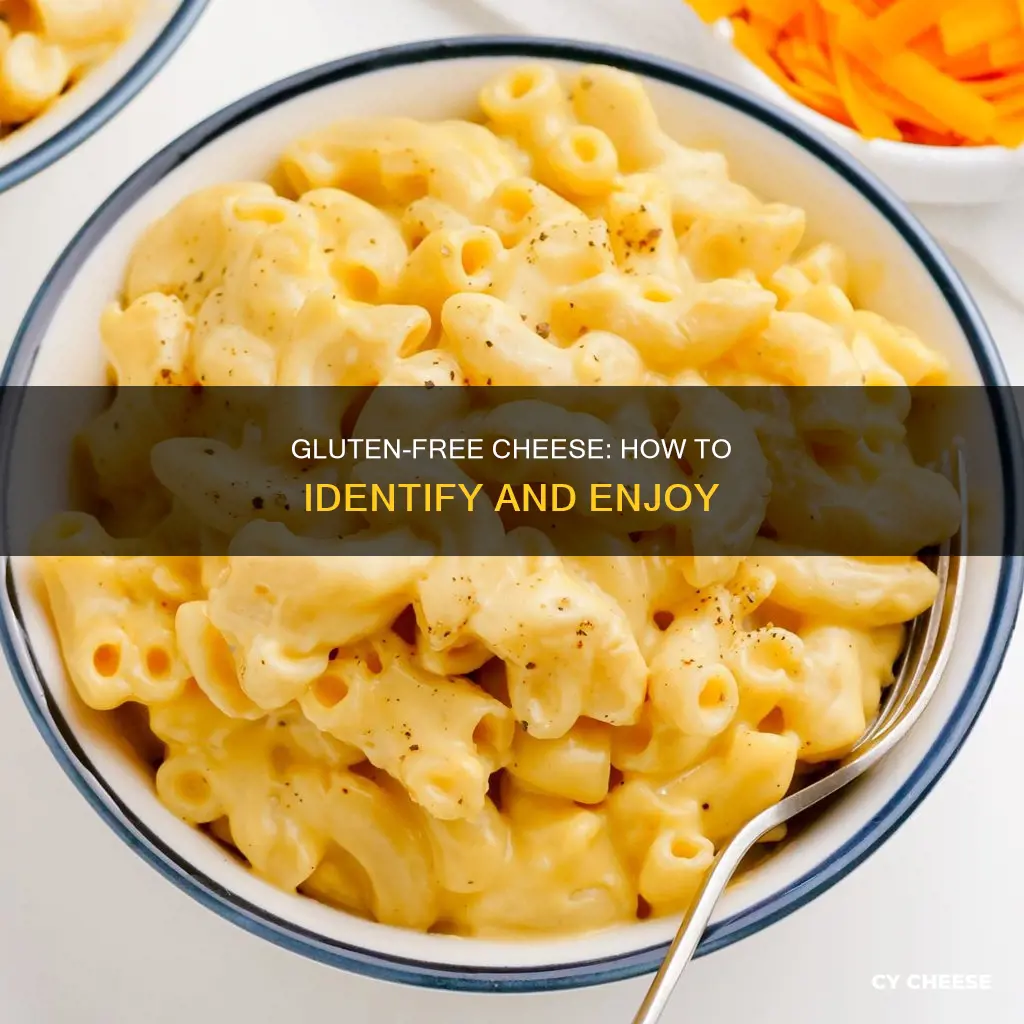 how to tell if cheese is gluten free