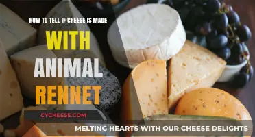 Uncover the Secret: Animal-Based vs. Vegetable-Based Rennet in Cheese