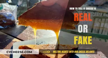 Real or Fake Cheese: Essential Tips to Spot the Difference