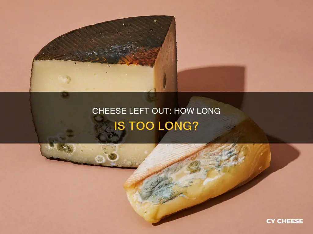 how to tell if cheese left out too long