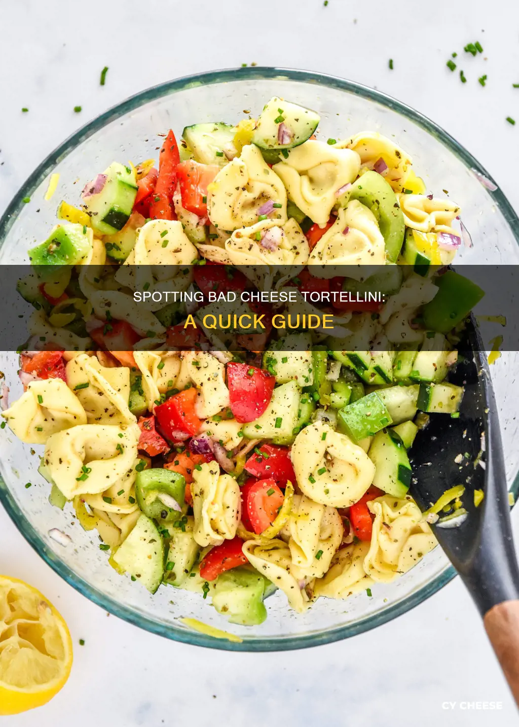 how to tell if cheese tortellini is bad