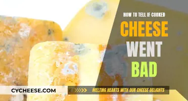 Detecting Spoiled Cheese: What to Look For