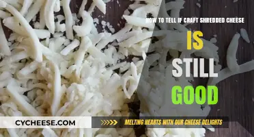 Is Your Shredded Cheese Still Good?