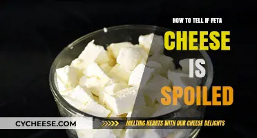 Detecting Spoiled Feta Cheese: What to Look For
