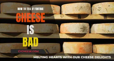 Spotting Bad Fontina Cheese: What to Look For