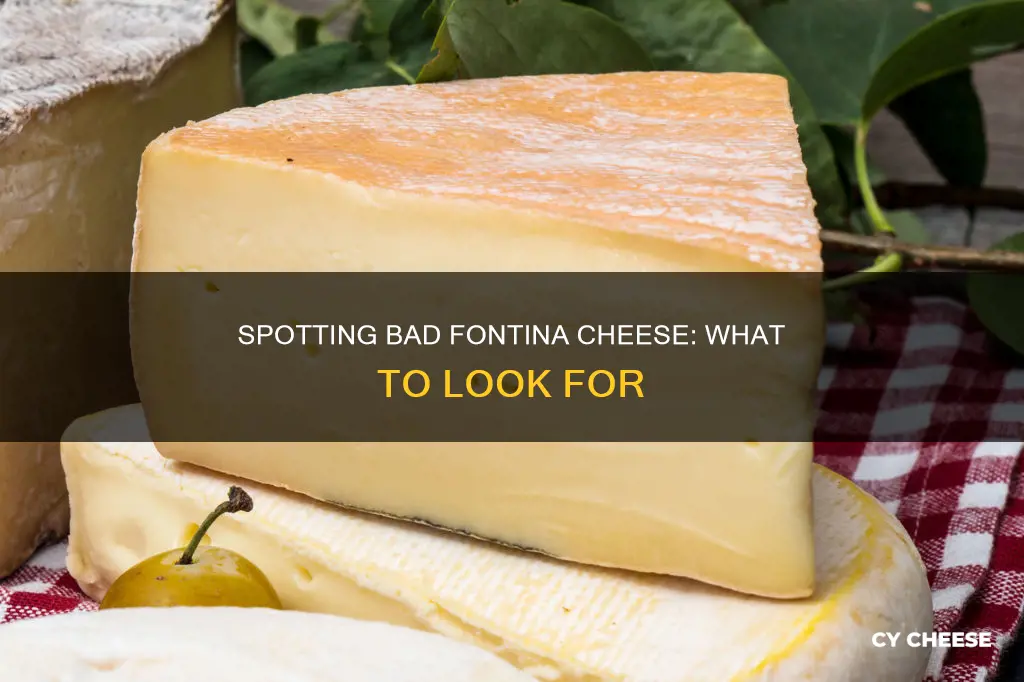 how to tell if fontina cheese is bad