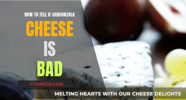 Detecting Bad Gorgonzola Cheese: What to Look For