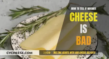 Spotting Bad Havarti: What You Should Know