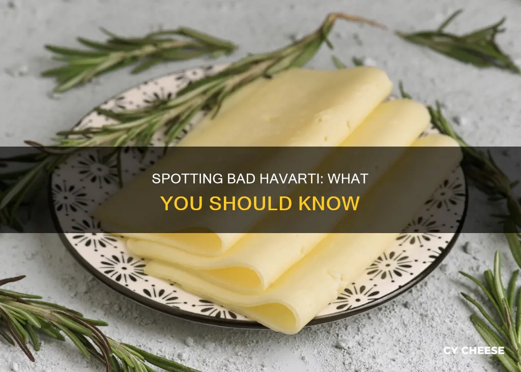 how to tell if havarti cheese is bad