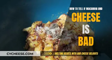 Spotting Bad Mac and Cheese: A Quick Guide