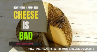 Spotting Bad Manchego: What to Look For