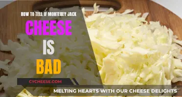 Jack Cheese Gone Bad: How to Tell