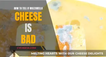 Spotting Bad Mozzarella: Signs to Look Out For