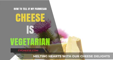 Is Your Parmesan Cheese Vegetarian?