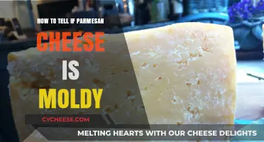 Detecting Mold in Parmesan Cheese
