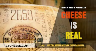 Authentic Parmesan Cheese: How to Spot the Real Deal