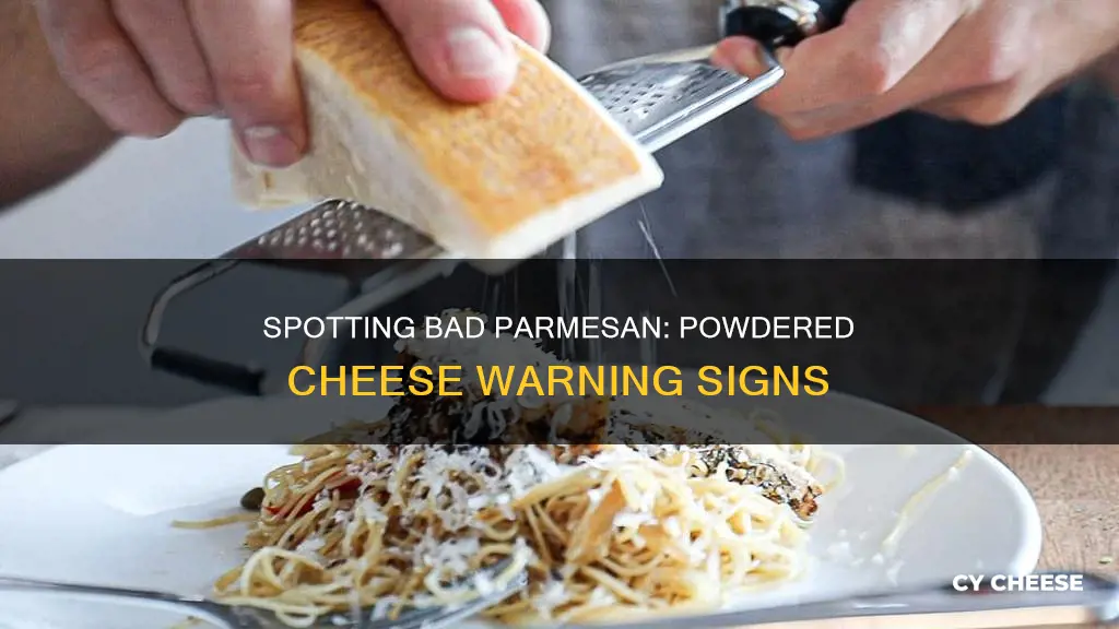 how to tell if powdered parmesan cheese is bad