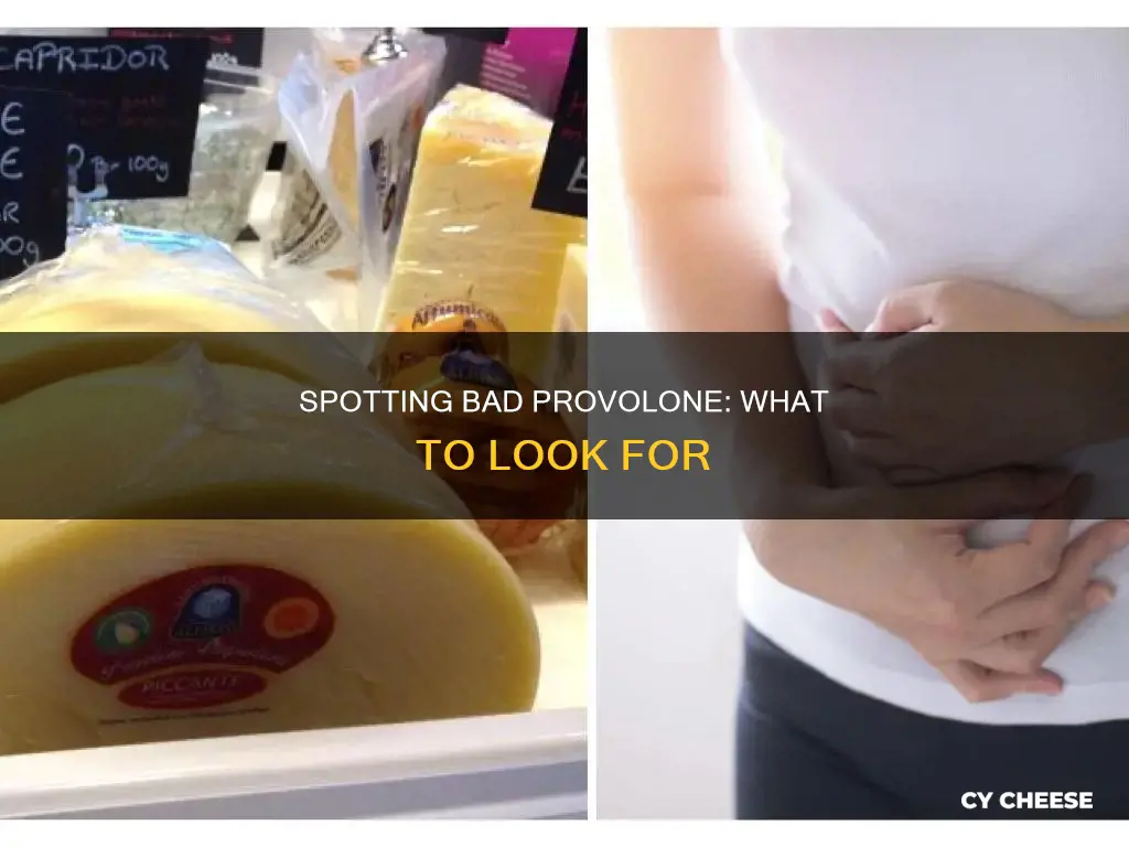how to tell if provolone cheese is bad
